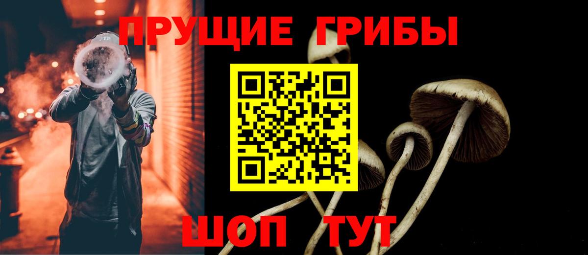 Псилоцибиновые грибы мухоморы  Вход с VPN  Псилоцибиновые грибы Psilocybe  Сафоново 